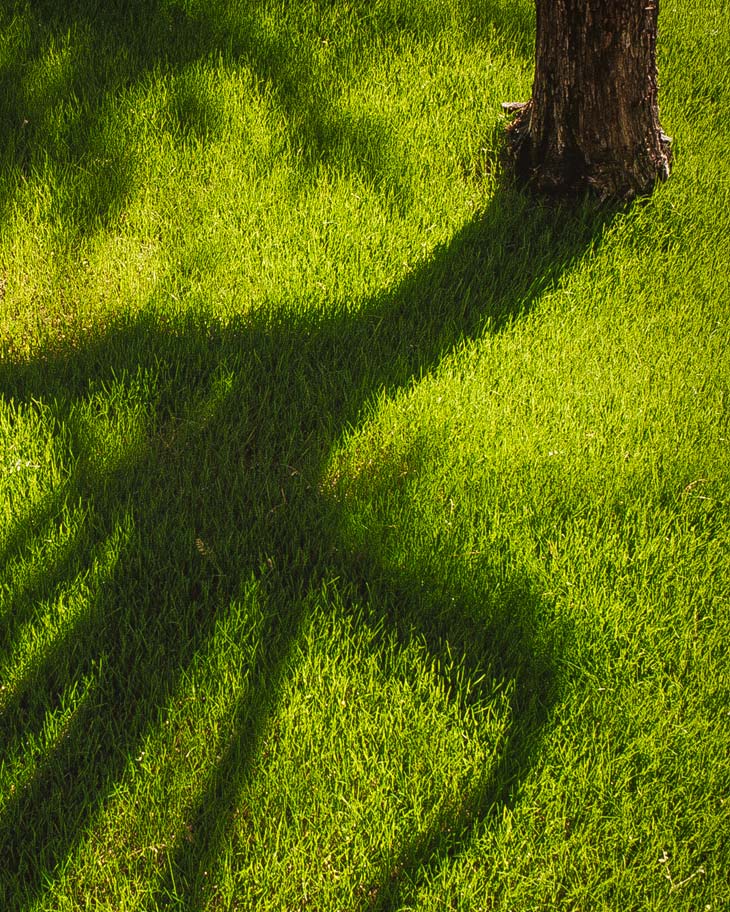 Pequannock Lawn Care Services